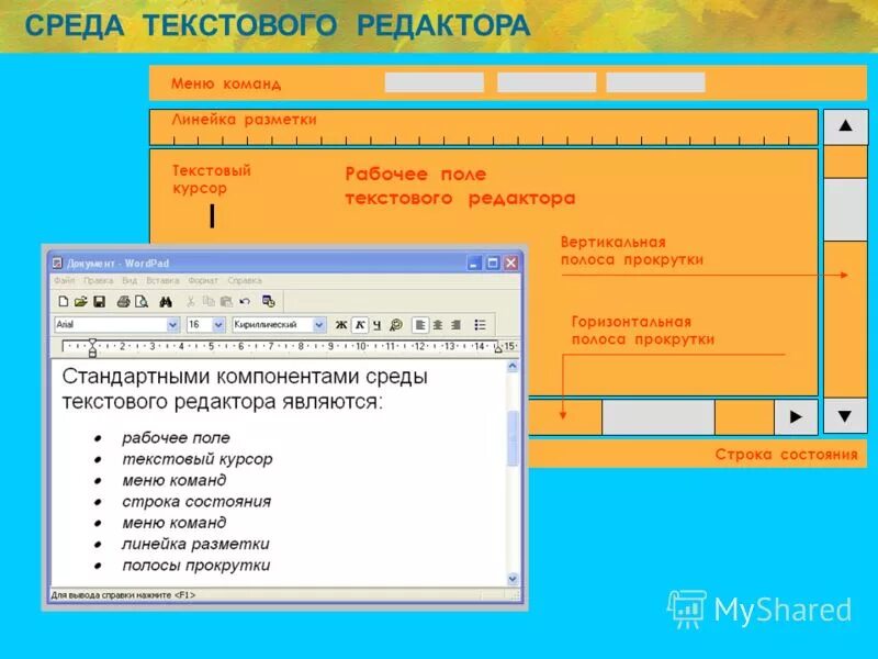 среда текст. среда текстового редактора ms word. элементы среды текстового редактора. линейка прокрутки текстового редактора. среда текстового редактора ms word.