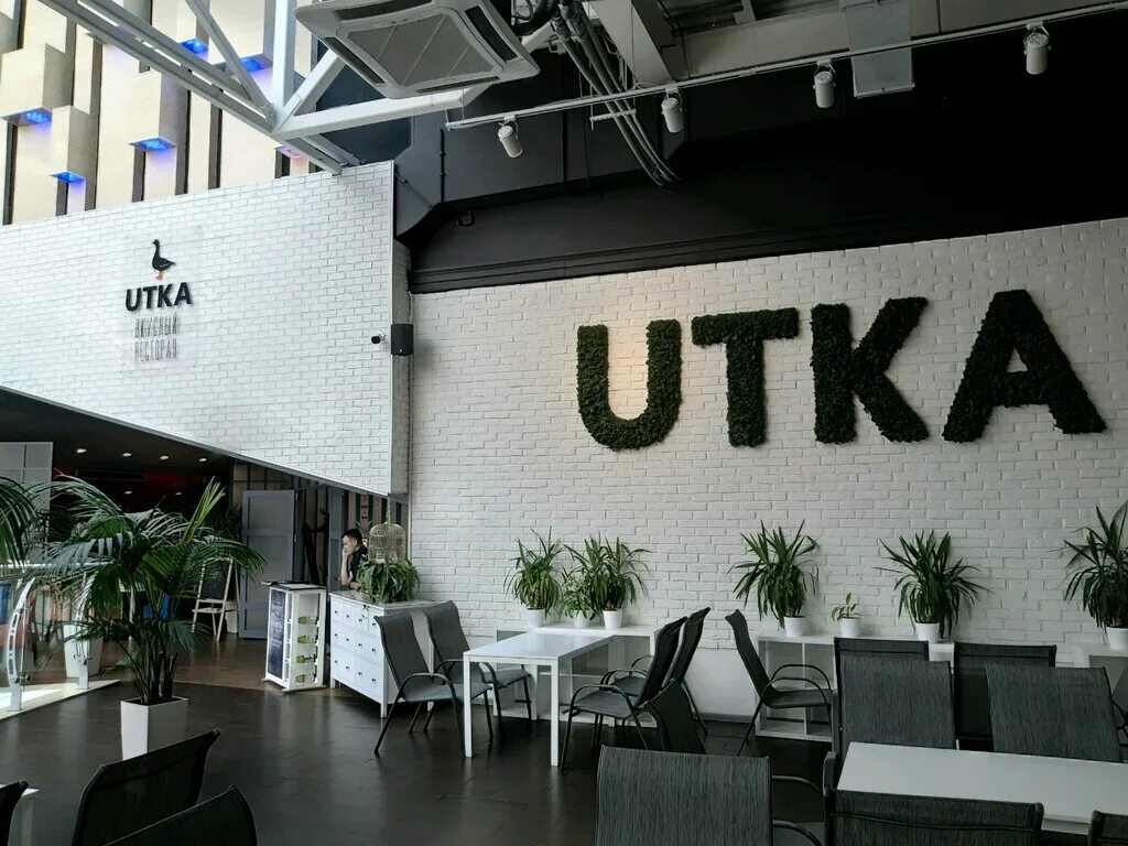 русский столовая. точка курская кафе. утка курск ресторан. курск ресторан сейм. гостиница аврора курск.