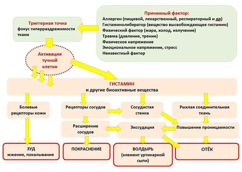 Развитие реакции у ребенка
