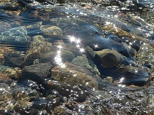 Вода Байкал. Чистая вода Байкала. Прозрачная вода в ручье. Байкальская экологическая волна. Живая вода озера