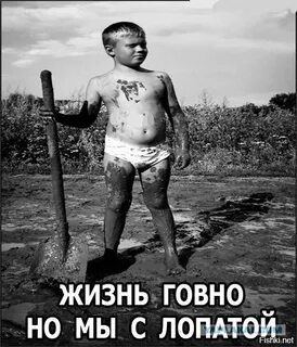 Ещё одно заявление в НАТО, заявила премьер-министр Финляндии I?id=5fce39a9825e476b62e2fa2e138010ba-4556855-images-thumbs&n=13