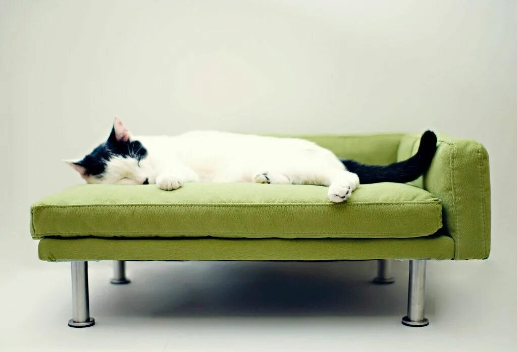 Как завязывать cat sofa