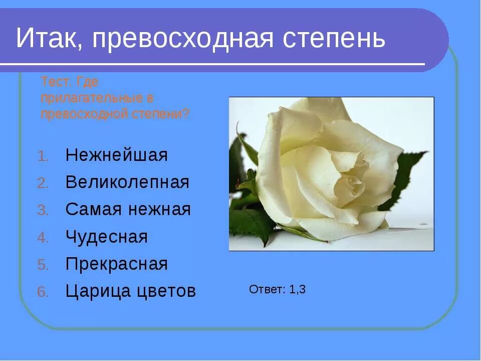 Растение имя прилагательное
