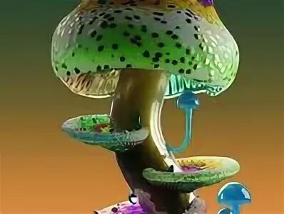 Mushroom 13