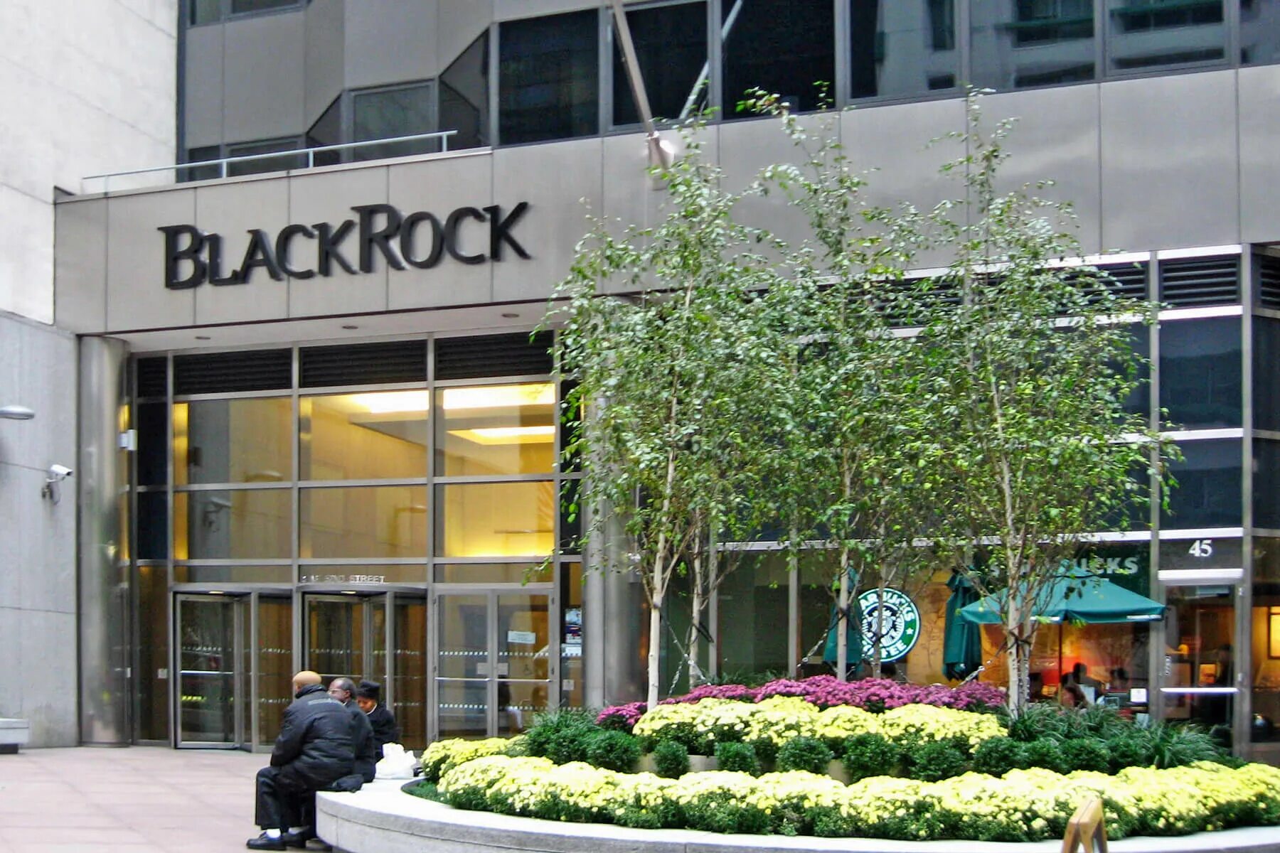 Blackrock компания. Blackrock. Траст блэкрок. Blackrock. Blackrock веточки.
