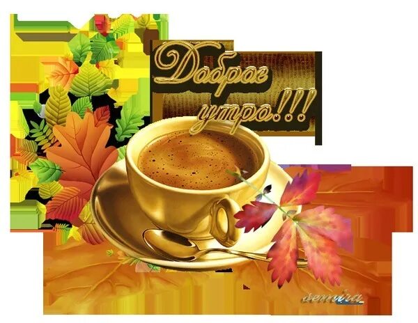 С добрым осенним утром. Доброго осеннего утра и хорошего дня. С добрым осенним утром. Доброго спокойного осеннего утра. Осень за окном.