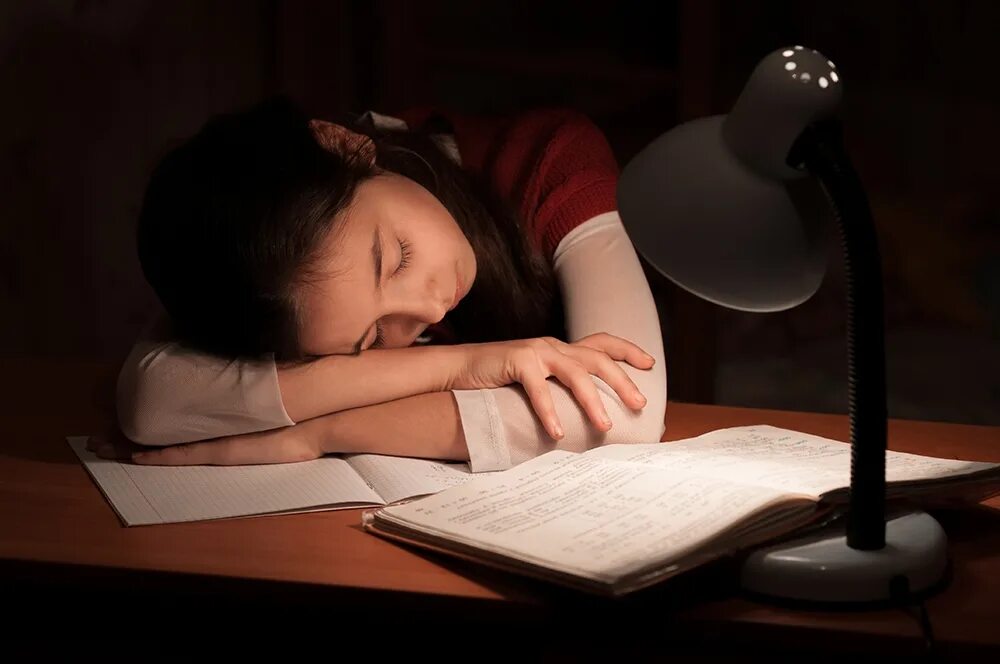 Снится бывший сидит за столом. Снится бывший сидит за столом. Снится бывший сидит за столом. Спящий человек за столом. Спящий человек за столом.