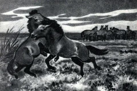 Аптека тарпан