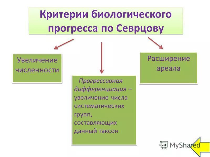 Разделение по способу питания расширение ареала