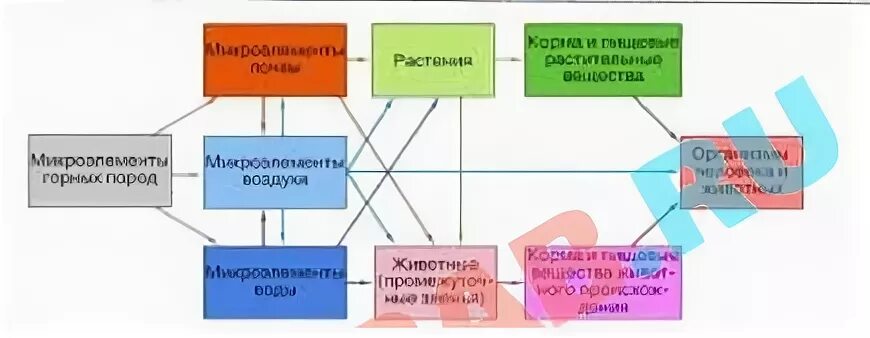 Зависит ли жизнь человека