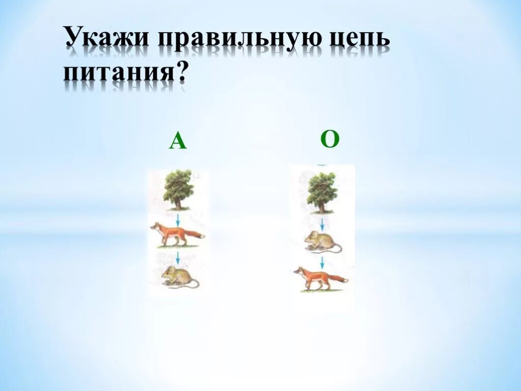 Укажите правильную цепь питания. Укажи правильную цепь питания. Указать правильную цепочку питания. Игра Найди правильную пищевую цепочку. Окружающий мир 3 класс проект проект цепь питания.