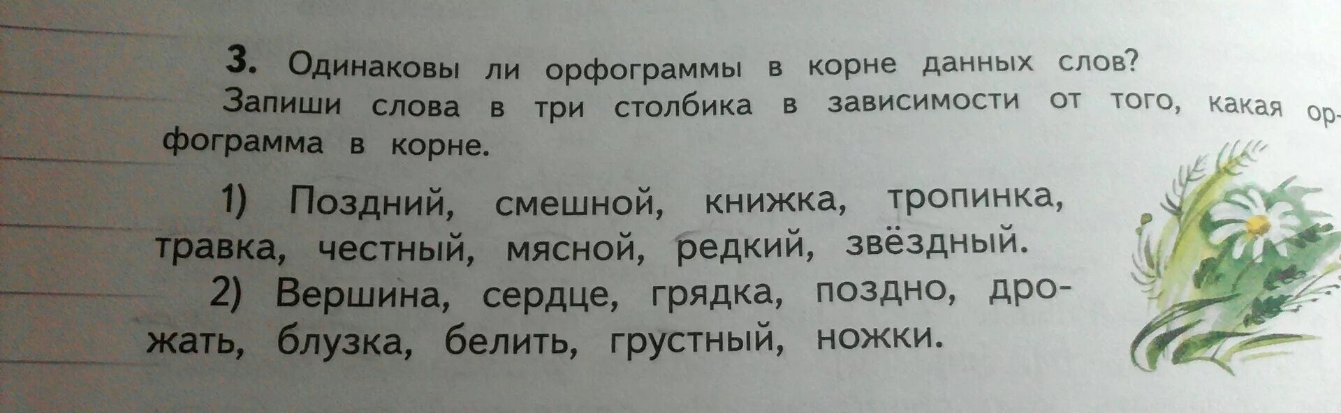 Запиши слова по группам цвет. Поздний смешной книжка. Поздний смешной книжка тропинка травка честный. Поздней орфограмма. Запиши слова в два столбика в зависимости.