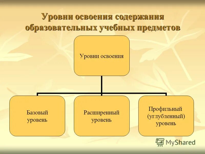 Определенный уровень освоения содержания. Определенный уровень освоения содержания. 3 уровня освоения программы. Определяет степень освоения содержания. К содержанию дисциплины относится.
