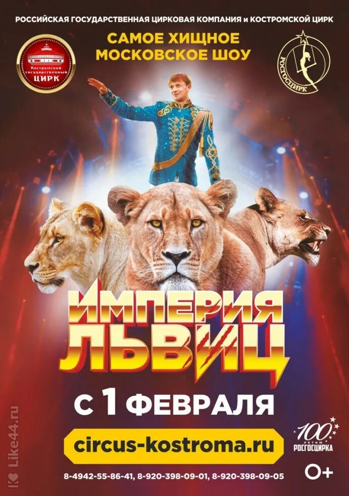 цирк афиша на февраль 2024. цирк казань афиша. цирк афиша на февраль 2024. цирковое шоу империя львиц. новосибирский цирк афиша.