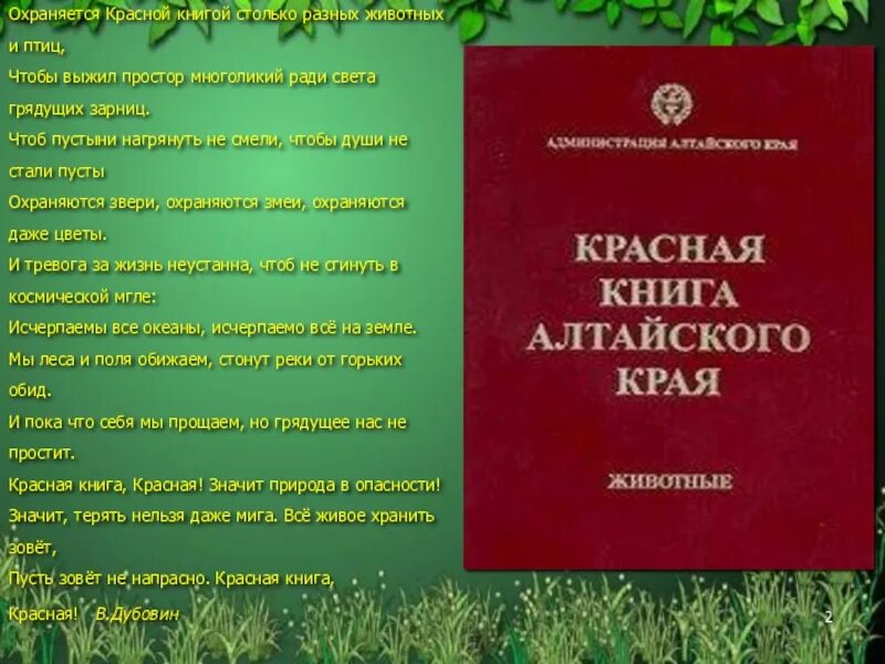 Растения внесенные в красную книгу алтайского края. Красная книга алтайского края животные алтайского края. красная книга животных алтайского края. красная книга алтайского края книга обложка. красная крига алтайского края.