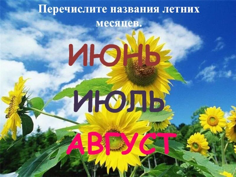 2 месяца будет лето. Летние месяцы для детей. Красивое название про лето. Красивый летний месяц. Лето название для детей.