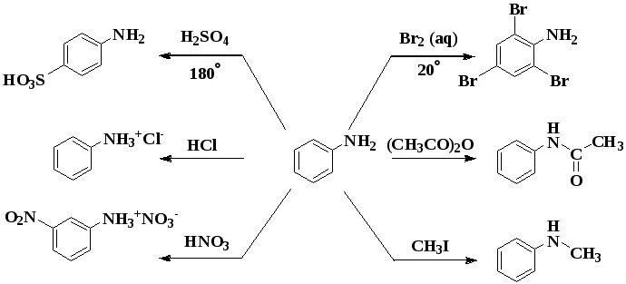 Анилин группа соединений. Анилин алкилирование реакция. Анилин химические свойства. Химические свойства анилина уравнения реакций. Анилины химические свойства.
