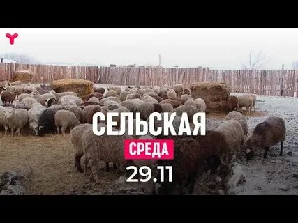 Сельская среда