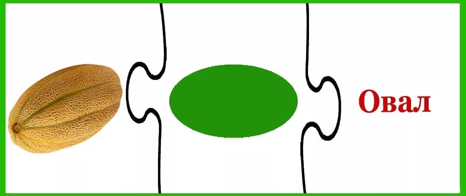 Что на что похоже 2 класс. Овал для дошкольников. Предметы похожие на овал для детей. Предметы похожие на геометрическую фигуру овал. На что похож овал для детей.