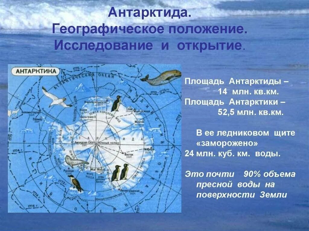 Географическое положение Антарктиды. Географические данные Антарктиды. Географические характеристики Антарктиды. Географическое расположение Антарктиды. Северный океан протяженность