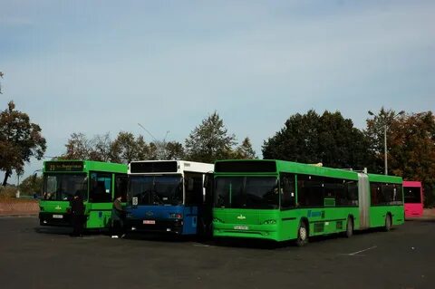 4 автобус мозырь