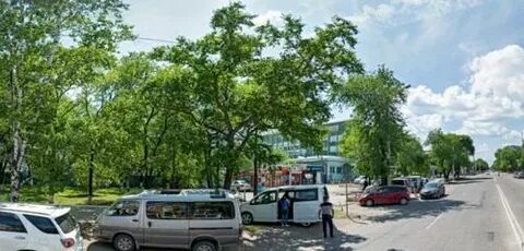 Индекс амурская 1