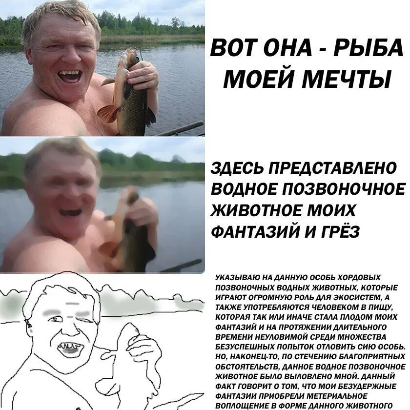 Вот она рыба моей мечты мем. Рыба моя слова. Рыба моя слова. Рыба моя слова. Рыба моя слова.