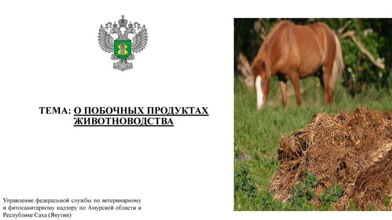 Побочный продукт животноводства уведомление. Побочная продукция животноводства. побочные продукты животноводства. россельхознадзор животные. побочная продукция животноводства биология.