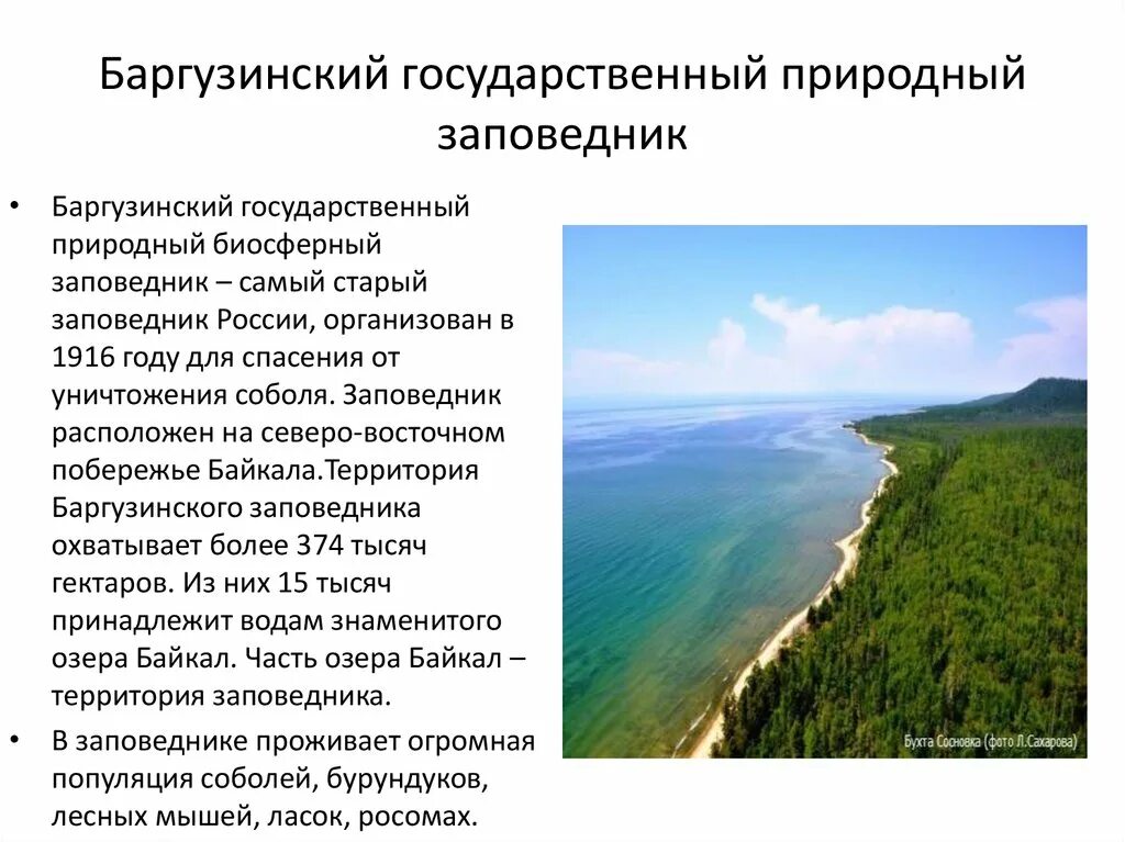 Заповедники кратко детям. Баргузинский заповедник природная зона. Заповедники презентация. Заповедники России презентация. Доклад о заповеднике России 5 класс.