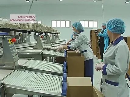 Птицефабрика первомайская
