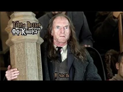 Домашняя кошка аргуса филча