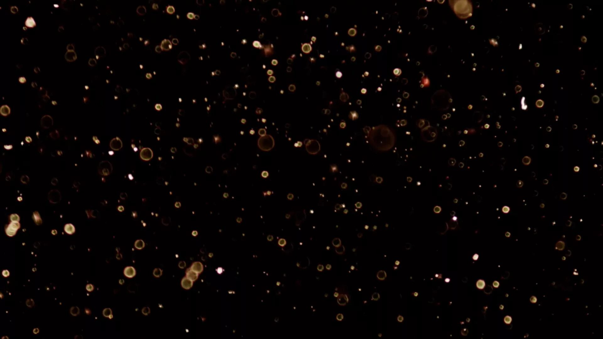 Частицы текстура. Small particles. Частички в воздухе. Светящиеся точки на черном фоне. Эффект пыли.