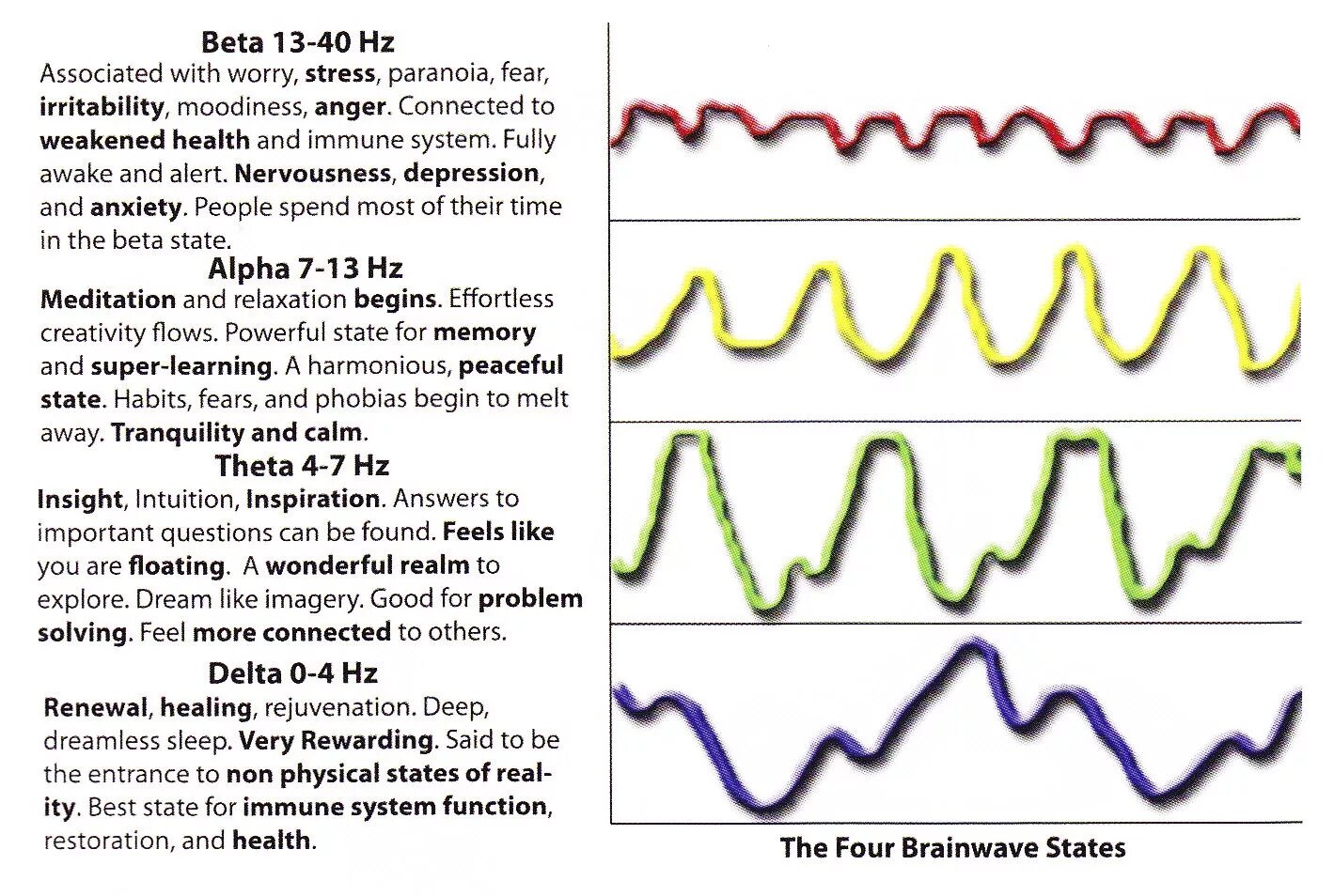 Частоты головного мозга. Волны мозга Альфа бета тета. Ритмы мозга Альфа бета тета Дельта ритмы. Волны бета Альфа тета частоты. Мозговые волны Альфа бета тета гамма Дельта.