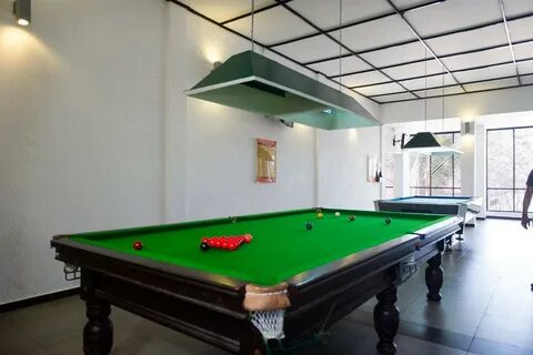 Hotel dolphin 4