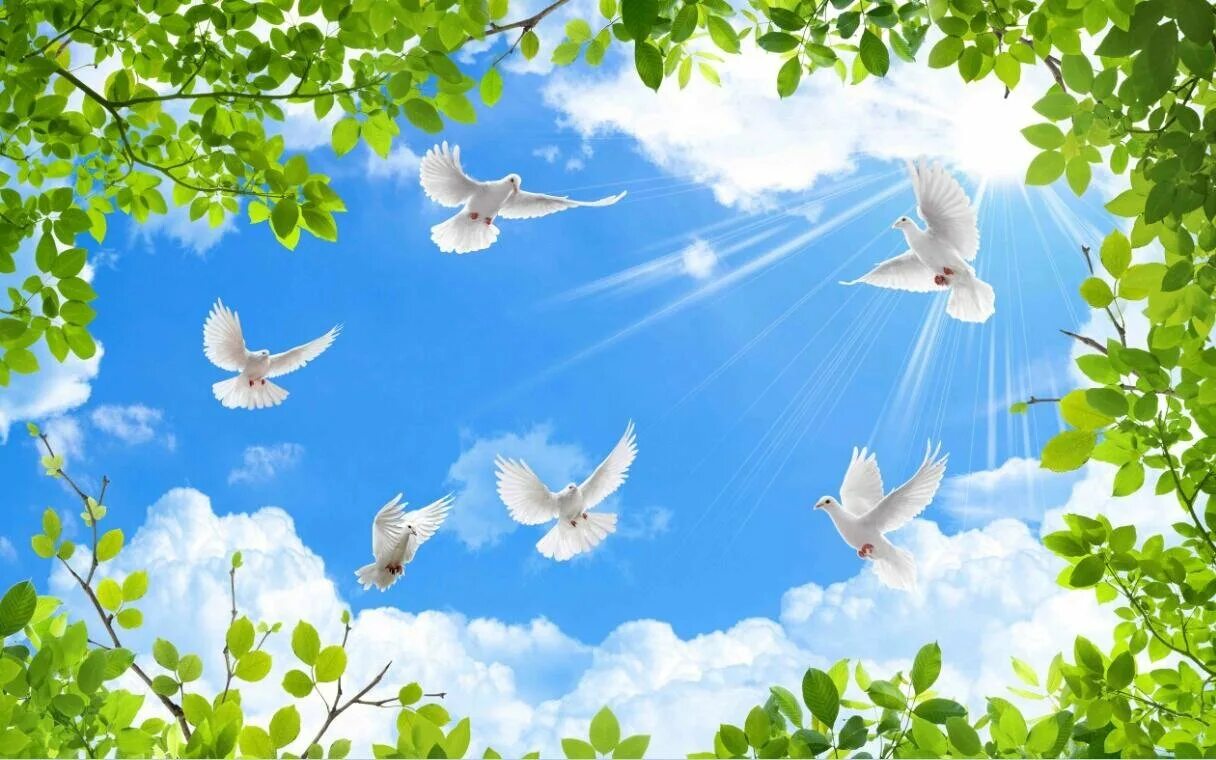 Бесплатные картинки с мирным небом