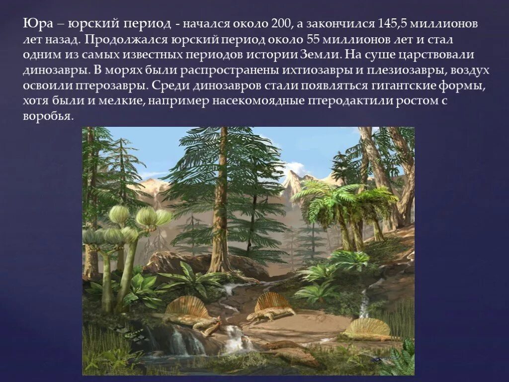 250 млн лет назад какой период. Мезозойский период Юра. Мезозойская Эра Юрский период растения. Юрский период мезозойской эры. Мезозойская Эра, мезозой.