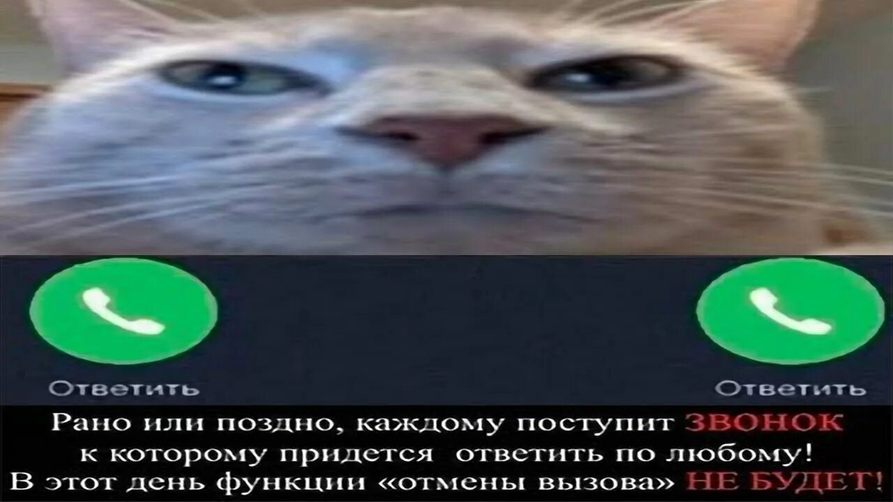 По иному поступить было невозможно. По иному поступить было невозможно