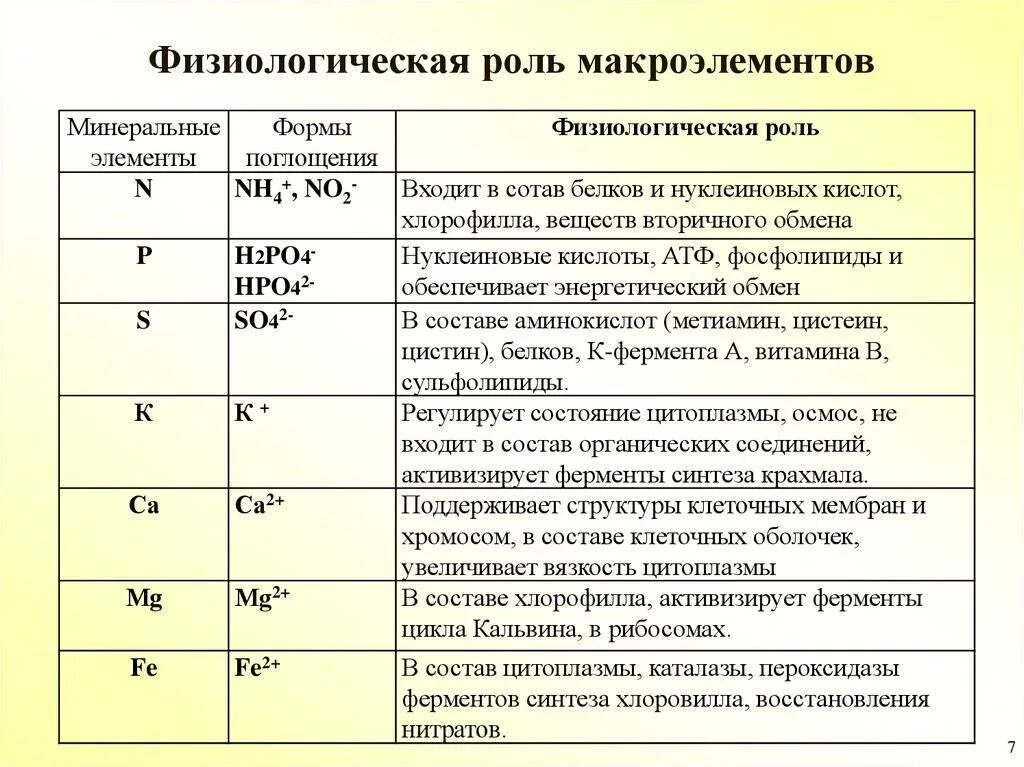 Роль химических соединений. Роль микро и макроэлементов. Физиологическая роль макроэлементов. Физиологическая роль микроэлементов. Физиологическая роль основных макро- и микроэлементов в растениях..