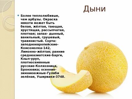 Загадка про дыню