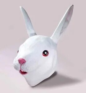 Fuller bunny