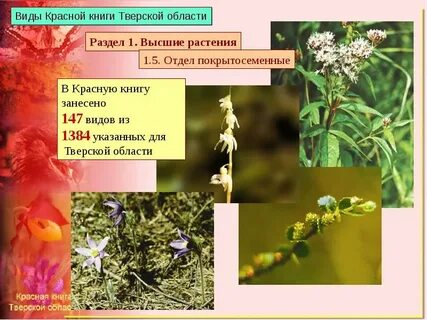 Тверская красная книга
