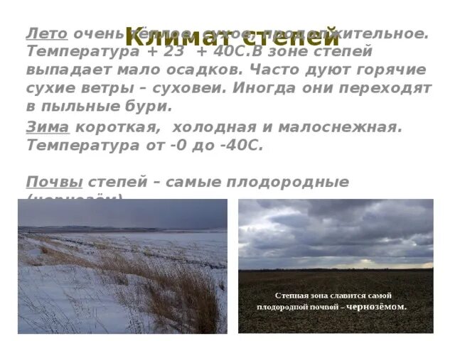 Осадки в степи. Климат степи. Осадки в степи зимой и летом. Климатические условия степей зимой.