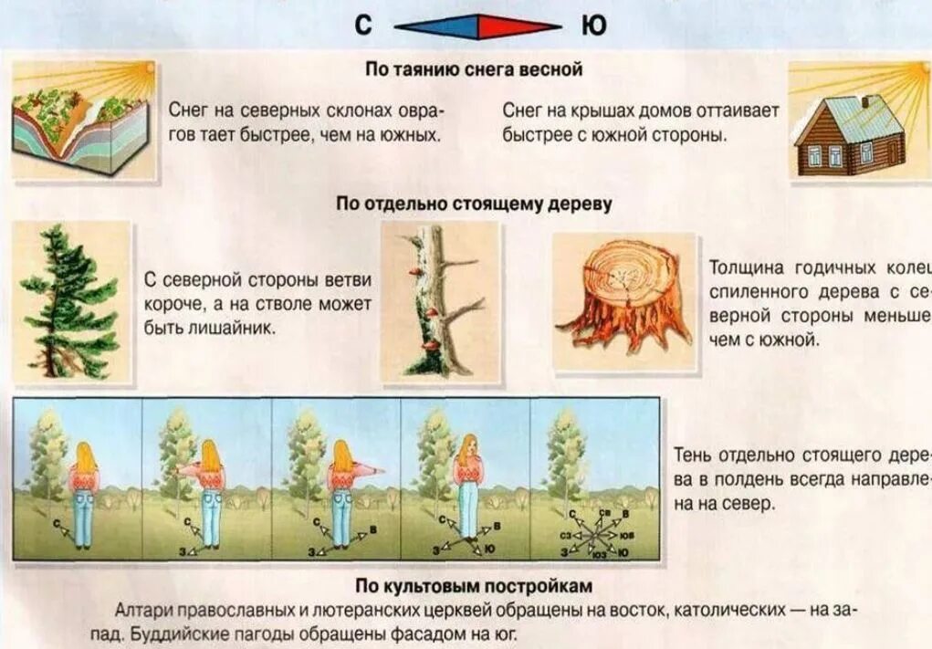 Задания наблюдения окружающий мир. Ориентирование наместносьи. Ориентирование на я местности. Способы ориентирования на местности. Умение ориентироваться на местности это.