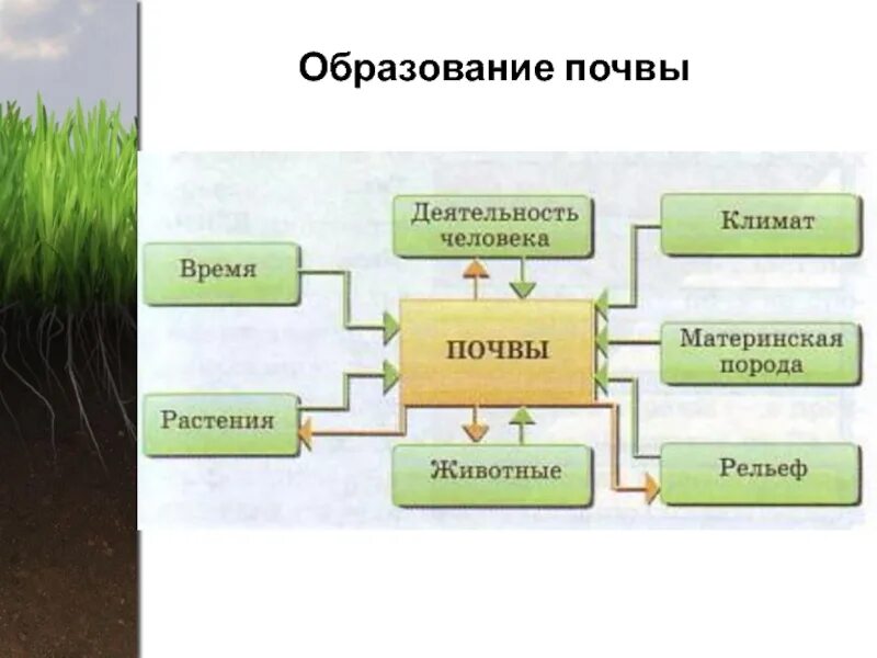 Схема условия почвообразования. Образование почвы. Схема формирование почв. Почва образование почвы. Плодородие почв при движении к полюсам