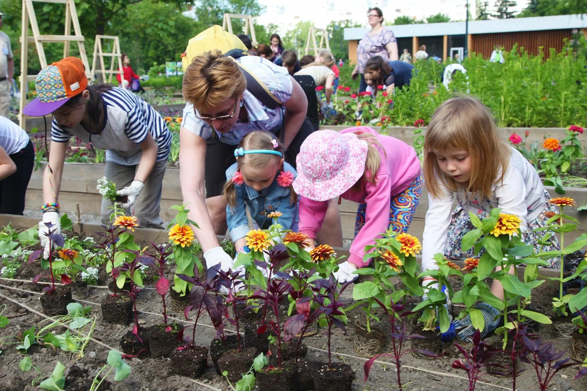 Посадка растений в детском саду. Посадка цветов в детском саду с детьми. Дети сажают цветы в детском саду. Сажать цветы. Дети вырастили цветы