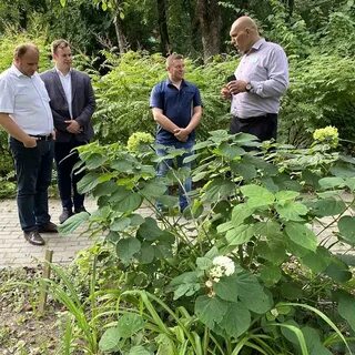 Ботанический сад имени гроздова брянск