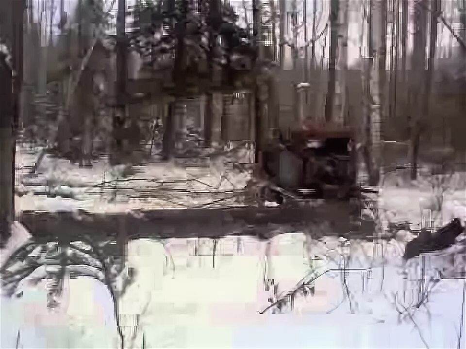 Работа чокеровщик в лесу. Финал комедии лес. Лесоруб пилит дерево. Сплошная рубка леса. Рубка деревьев.