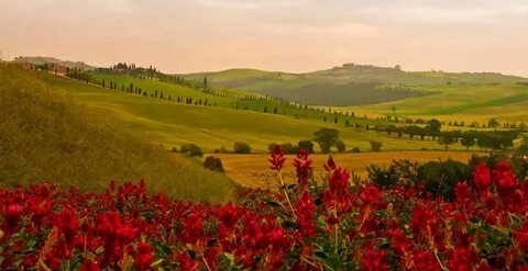 Umbria casanova