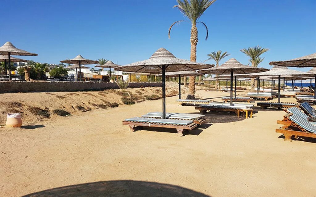 Tivoli hotel aqua park 4 египет шарм-эль-шейх. Tivoli hotel 4 шарм эль шейх. Tivoli hotel aqua park шарм-эль-шейх. Отель тиволи шарм. Отель tivoli hotel aqua park 4* хадаба.