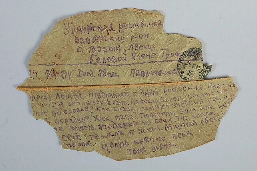 Письма листьев. Письмо на листе магнолии. письма людмилы павличенко. лист для письма. лист письменности.